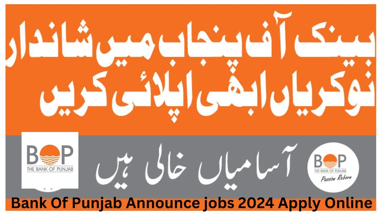 Bank Of Punjab Jobs 2024 Apply Online